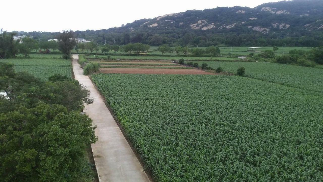 金門廣緣民宿 Guang Yuan B&B Jinsha Bagian luar foto