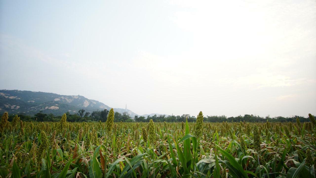金門廣緣民宿 Guang Yuan B&B Jinsha Bagian luar foto