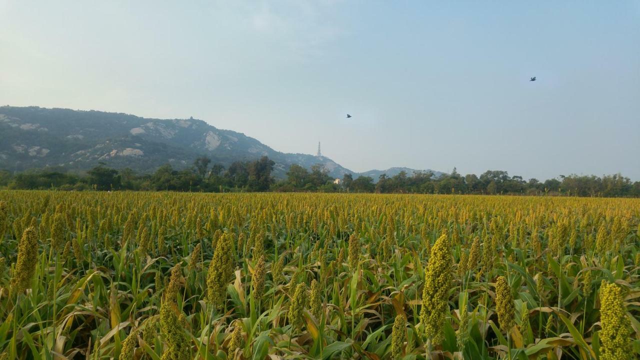 金門廣緣民宿 Guang Yuan B&B Jinsha Bagian luar foto